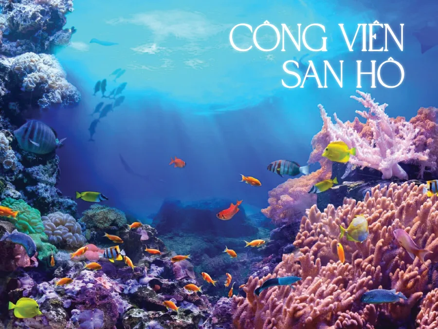 Phối cảnh công viên san hô Vạn San Đảo trong Libera Nha Trang